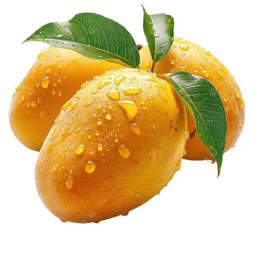 Mangue Kent